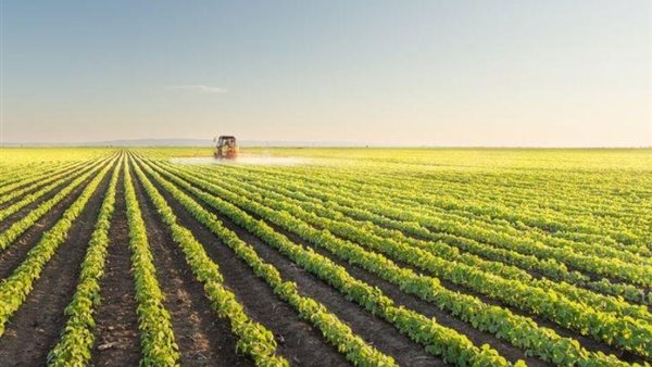 لوتس للتنمية والاستثمار