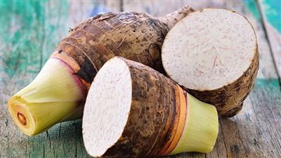 بـ 85% من أراضيها.. إزاي نجحت 