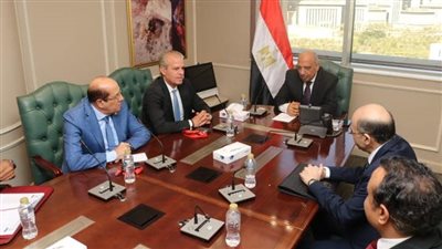 وزير الكهرباء: المشروع الجديد سيعزز التصنيع المحلي ويستغل 17 عنصراً نادراً في مصر