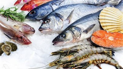 نيجيريا تعزز صادرات الأسماك باستخدام تقنيات مبتكرة في الاستزراع المائي