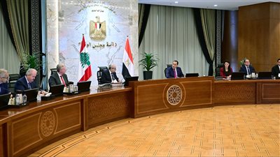 مدبولي: توجيه رئاسي بتقديم كل أشكال الدعم للبنان وتعزيز التعاون في الطاقة والاستثمار