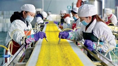 تباطؤ في مراكز التصنيع الآسيوية بفعل ضعف الطلب الأمريكي ورسوم ترامب