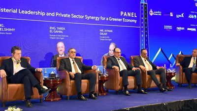 هيبة: بدء إنتاج الألواح الشمسية في مصر بمكون محلي 90% خلال الربع الأول من 2026