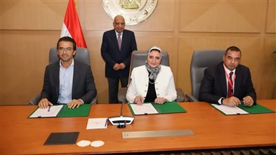 وزير الكهرباء: نعمل على بناء شبكة قوية تستوعب القدرات التوليدية من الطاقات المتجددة 