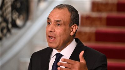 وزير الخارجية يحسمها: صبر مصر نفد تجاه إثيوبيا.. ولن نسمح بتقسيم السودان