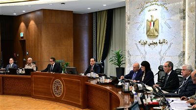 مجلس الوزراء يوافق على طرح رخصتين لإقامة مشروعات لإنتاج الأسمنت الرمادي