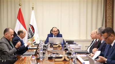 كيما للأسمدة ومصر للألومنيوم تدرسان إنشاء محطات طاقة شمسية لتوفير احتياجات الشركتين من الكهرباء