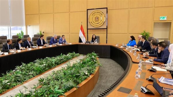 مايا مرسي تلتقي وفدًا