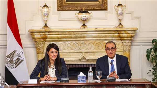 وزيرا التخطيط والخارجية