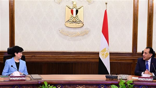 لقاء رئيس الوزراء