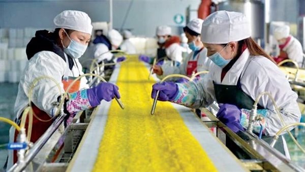 التصنيع الآسيوية