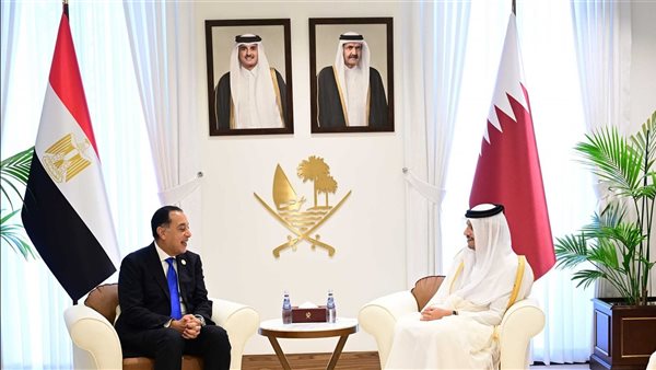 مدبولي يلتقي رئيس