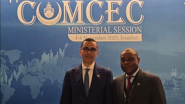 وزير الاستثمار يلتقي