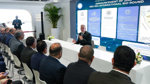 المهندس كريم بدوي