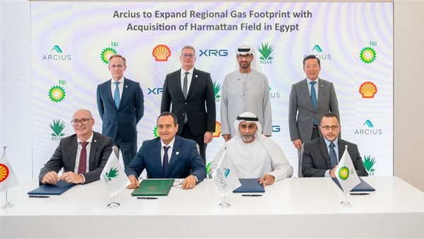 أركيوس توسع استثماراتها