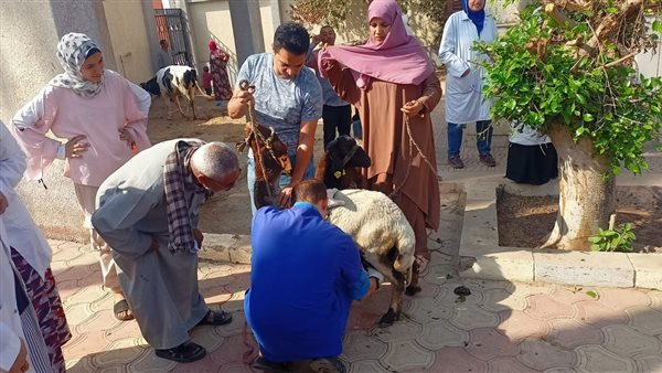 «الزراعة» تواصل جهود