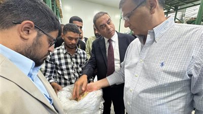 علاء فاروق: إنتاج التقاوي ركيزة للأمن الغذائي العربي وتعاون مصر والأردن نموذج للتكامل الزراعي