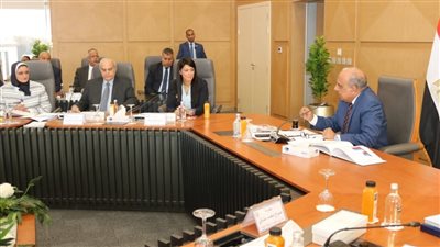 وزير الكهرباء: 45 مليار جنيه حجم الاستثمارات منها 53% لاستكمال المشروعات القائمة و47% للجديدة