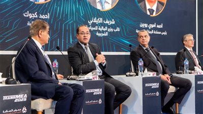 وزير المالية: نمو الاستثمارات الخاصة 73% والاقتصاد المصري يسير في اتجاه إيجابي
