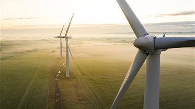 المنتدى الاقتصادي العالمي: التحول الأخضر يخلق 12 مليون وظيفة جديدة عالميًا