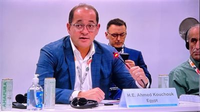 كجوك: نتطلع لزيادة المؤسسات الدولية التمويلات الخضراء الميسرة  لدفع التنمية المستدامة بالدول النامية 