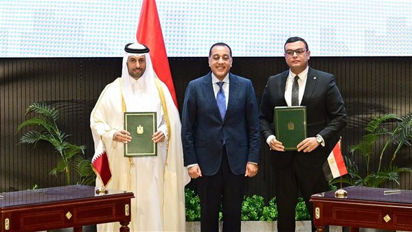 شراكة استثمارية مصرية