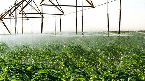 لوتس للتنمية الزراعية