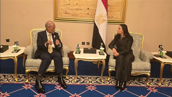 مايا مرسي تلتقي وزير