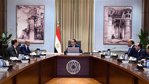 رئيس الوزراء يلتقي