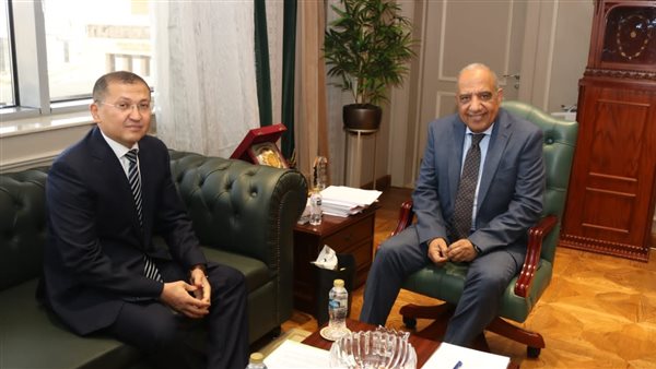 وزير الكهرباء يبحث