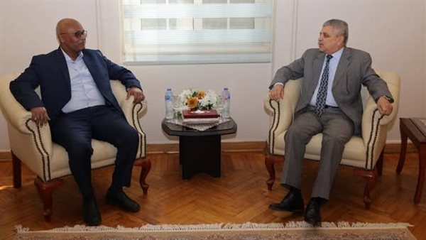  الفريق أسامة ربيع