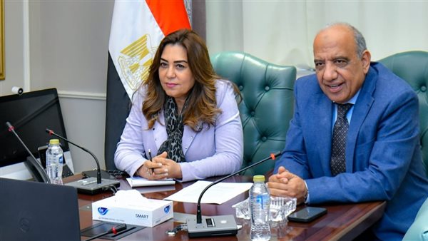 وزيرا الكهرباء والتنمية