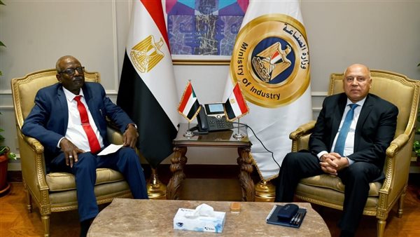 لقاء «مصري-سوداني»