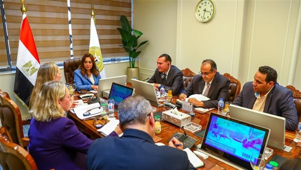 وزيرة التنمية المحلية