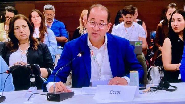 أحمد كجوك وزير المالية