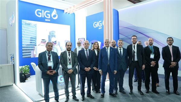 رئيس الرقابة المالية