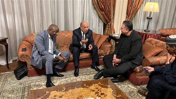 وزير الكهرباء يلتقي