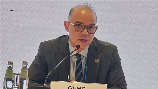 محمد فريد رئيس الهيئة