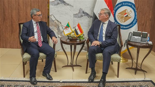 جانب من لقاء وزير