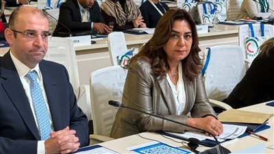 منال عوض: 21 مشروعًا مع «اليونيدو» لدعم الصناعة ونقل التكنولوجيا في مصر