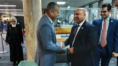 الوزير: تطوير الموانئ والتحول الرقمي يدعمان الملف المصري في انتخابات «IMO»