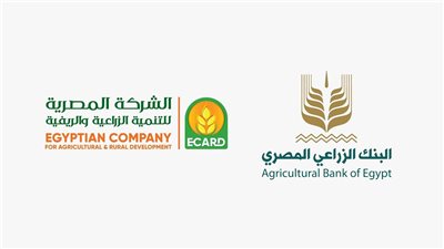 تعيين محمد عسران عضوًا منتدبًا للشركة المصرية للتنمية الزراعية والريفية