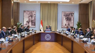 رئيس الوزراء يتابع جهود توافر الأدوية وموقف سداد مستحقات الشركات العاملة بقطاع الدواء