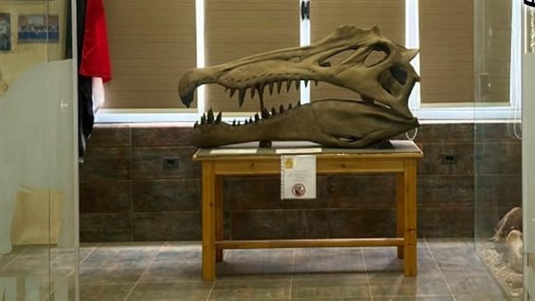 اكتشاف نوع جديد من