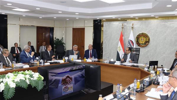 وزير قطاع الأعمال