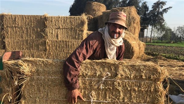 كيف صنعت مصر قيمة