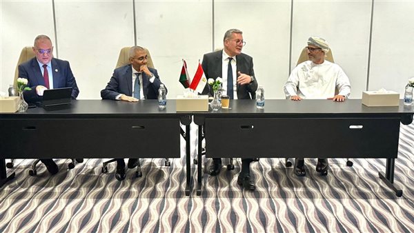 جانب من لقاء وزير