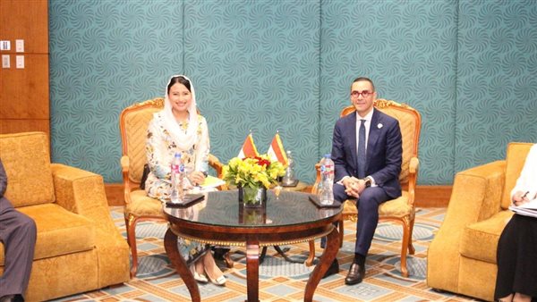 وزير الاستثمار يلتقى