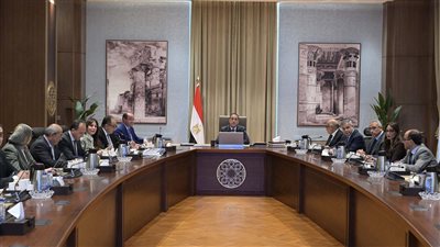 رئيس الوزراء يتابع مشروعات تطوير قطاع الغزل والنسيج والاستغلال الأمثل للأصول