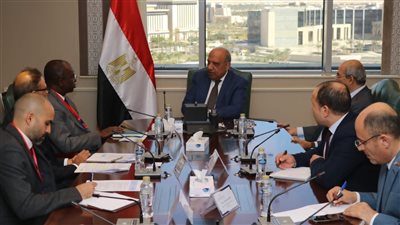 «عصمت» يلتقي وفد مؤسسة التمويل الدولية لمناقشة تنمية مشروعات الكهرباء والطاقة النظيفة